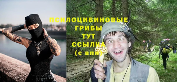 сатива Заволжск