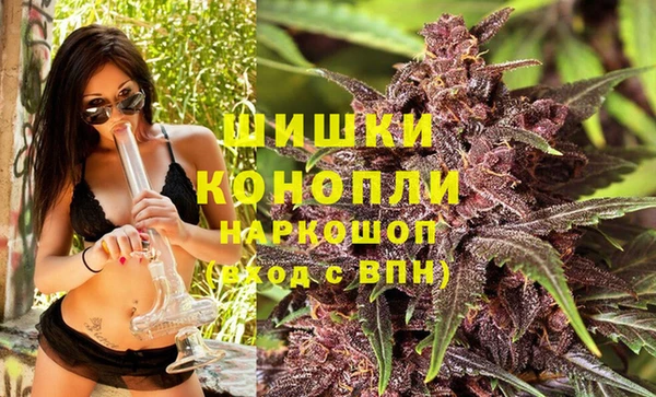 сатива Заволжск