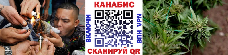 Бошки марихуана SATIVA & INDICA  Купить закладки  Ильский 